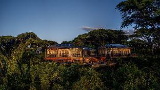 ngorongoro lions paw