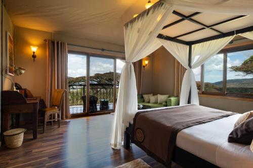 ngorongoro lions paw