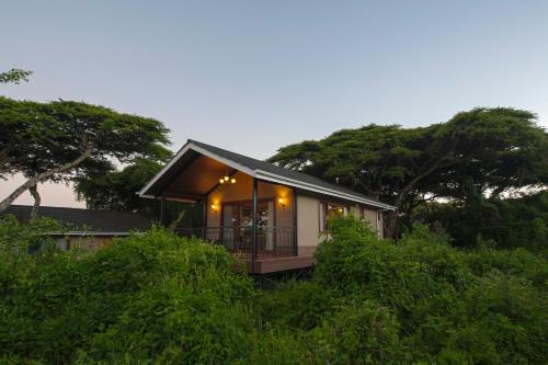 ngorongoro lions paw