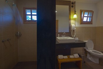 ngorongoro lions paw