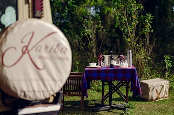 ngorongoro lions paw
