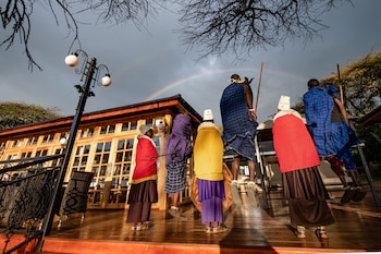ngorongoro lions paw