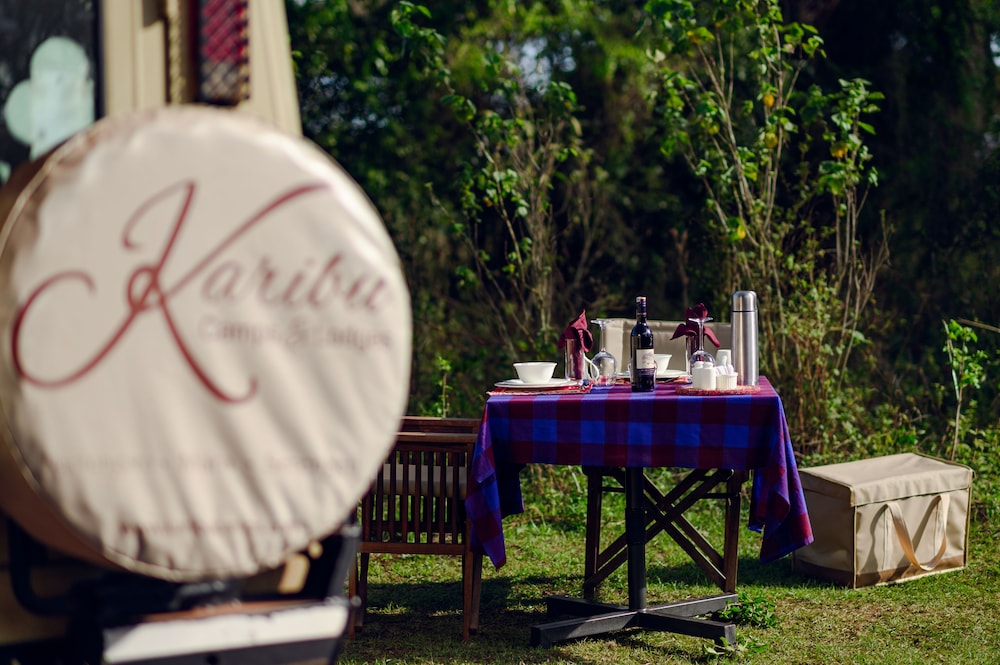 ngorongoro lions paw