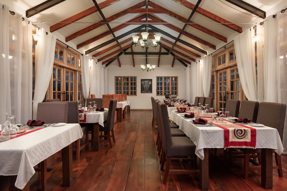 ngorongoro lions paw