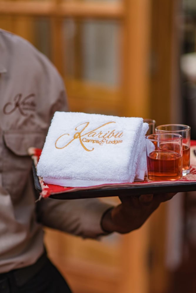 ngorongoro lions paw