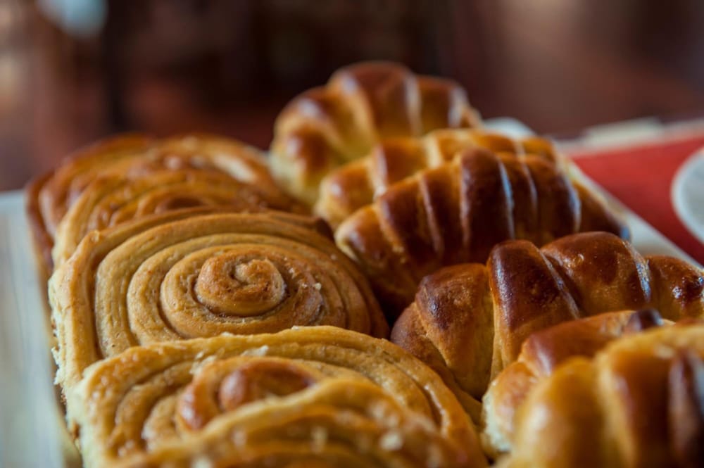 ngorongoro lions paw