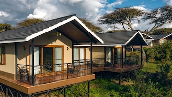 ngorongoro lions paw