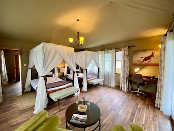 ngorongoro lions paw