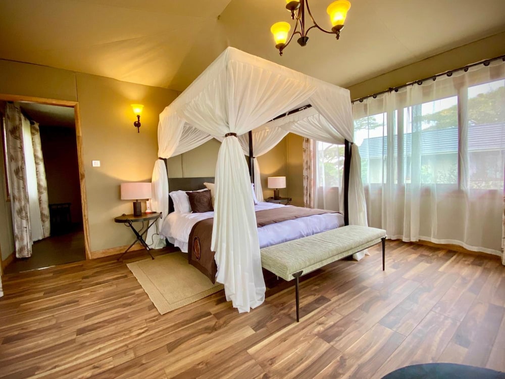 ngorongoro lions paw