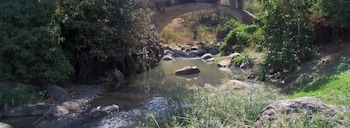 jai lodge kilimanjaro