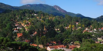 monte verde