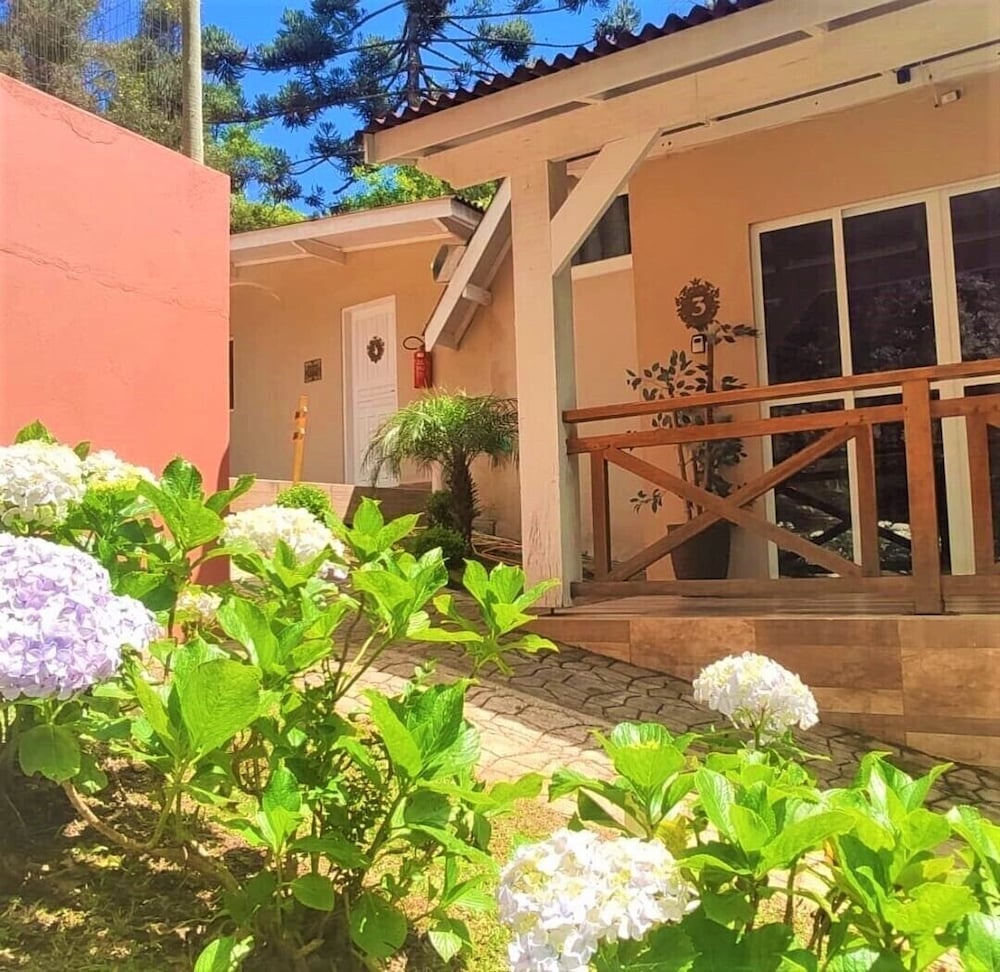 monte verde