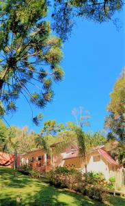 monte verde