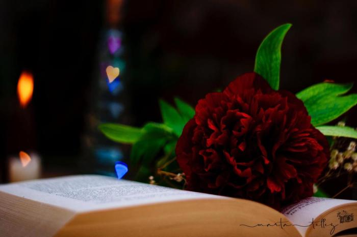 hospederia casa martell