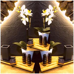 hospederia casa martell