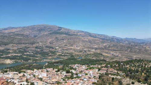 pinos del valle