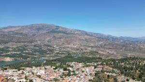 pinos del valle