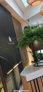 hotel vistalegre