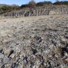 albergue rural cal picarol