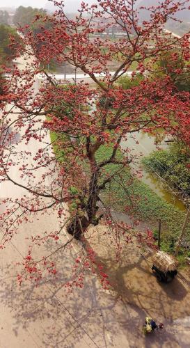 tam coc horizon bungalow