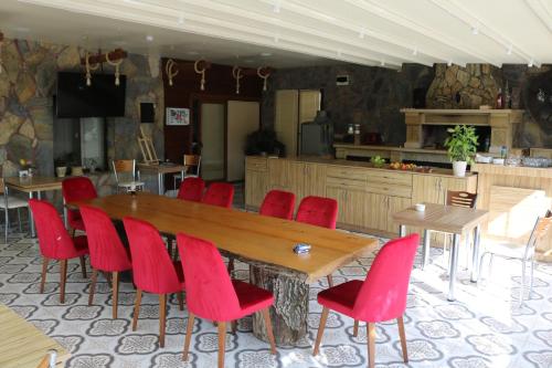castle nolana hotel and horse club