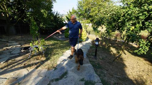 castle nolana hotel and horse club