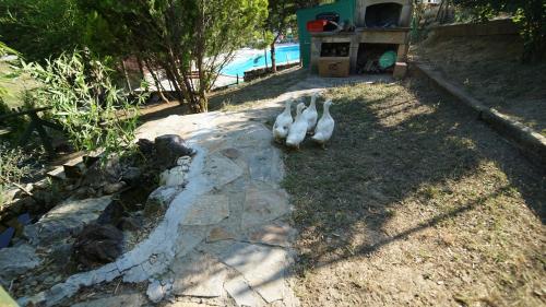 castle nolana hotel and horse club