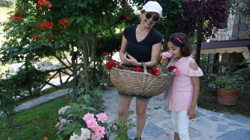 castle nolana hotel and horse club