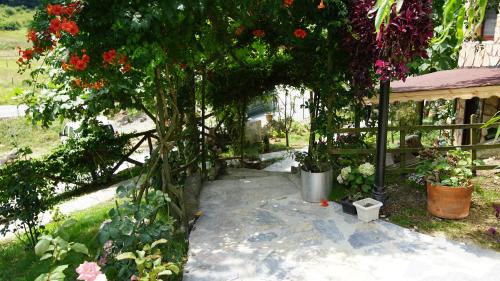 castle nolana hotel and horse club