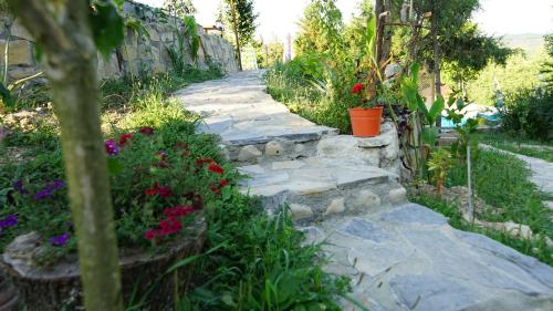 castle nolana hotel and horse club