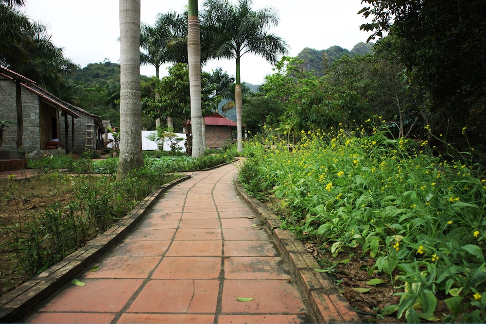 long phuong homestay