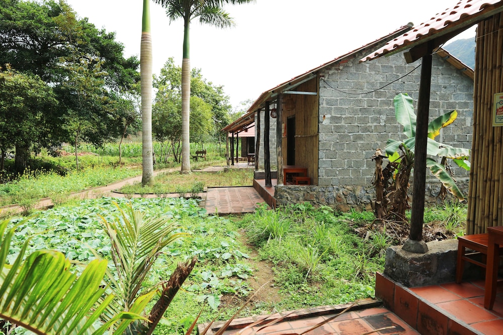 long phuong homestay