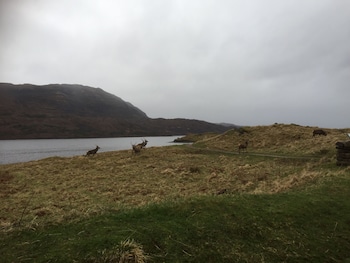 the drumbeg hotel