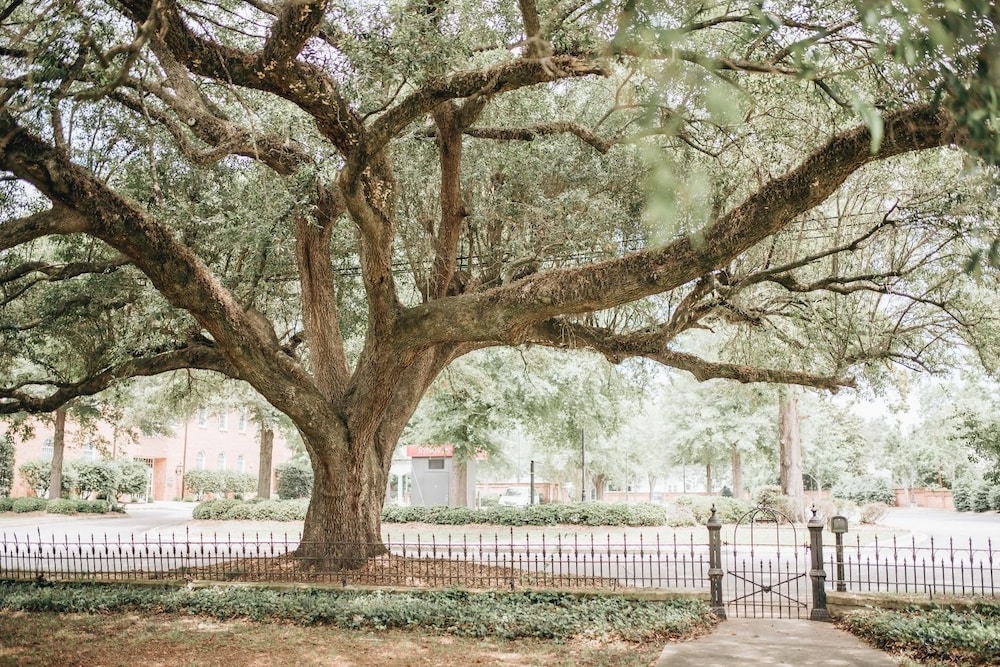 sumter