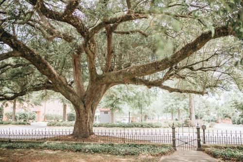 sumter