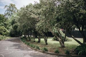 sumter