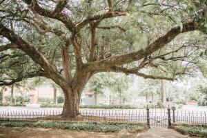 sumter