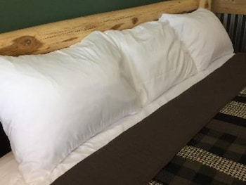 big horse inn and suites