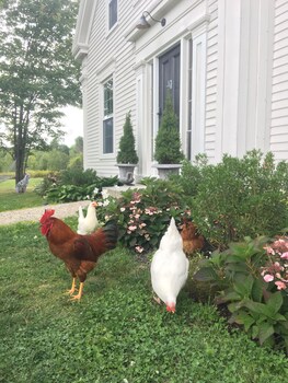 the orchard house and cafe