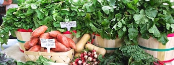 holiday inn express and suites franklin berry farms