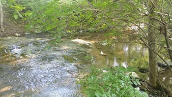 holiday inn express and suites franklin berry farms