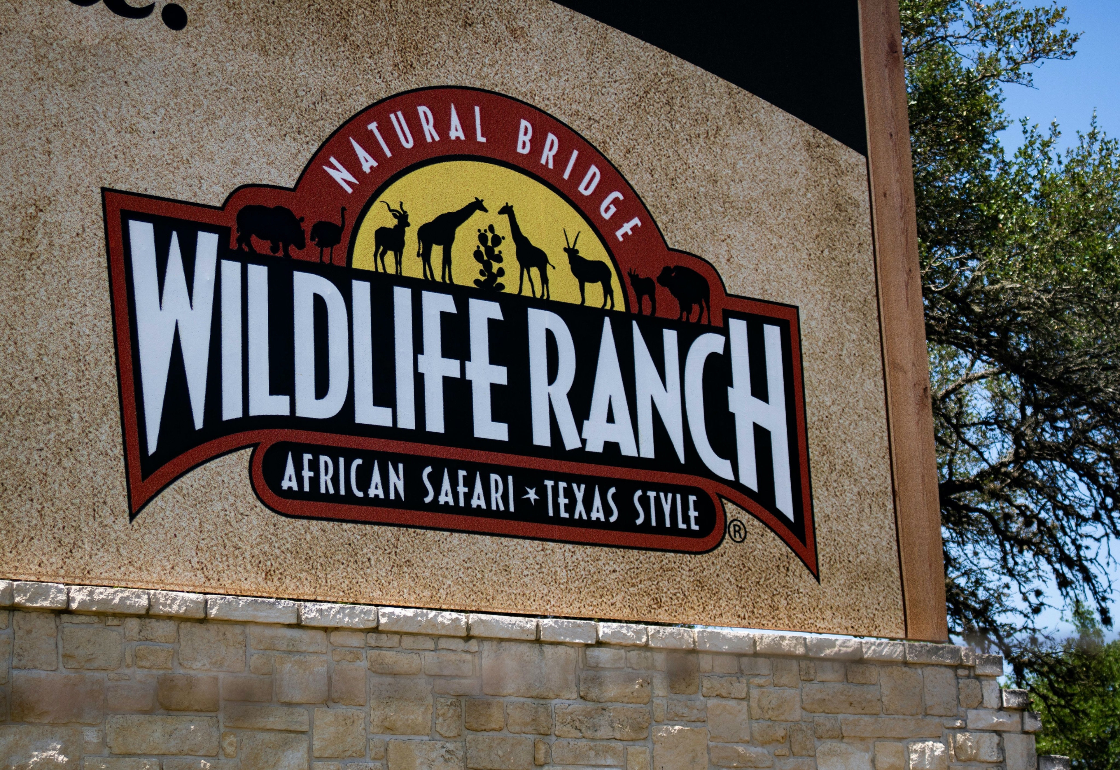 staybridge inn and suites san schertz