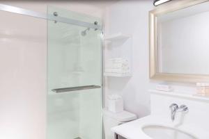 hotel continental miami beach tapestry collection by hilton