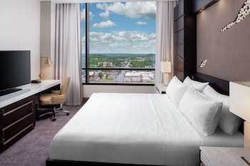 hilton rochester mayo clinic area