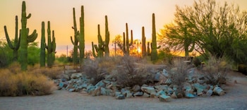 hol inn exp and suites phoenix east gilbert