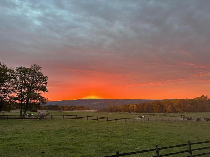 letchworth farm
