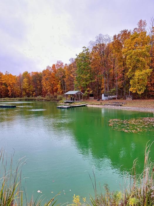 letchworth farm