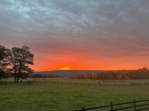 letchworth farm