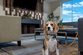 soka suites dallas las colinas