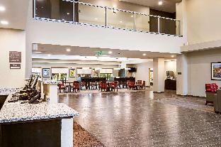 comfort suites